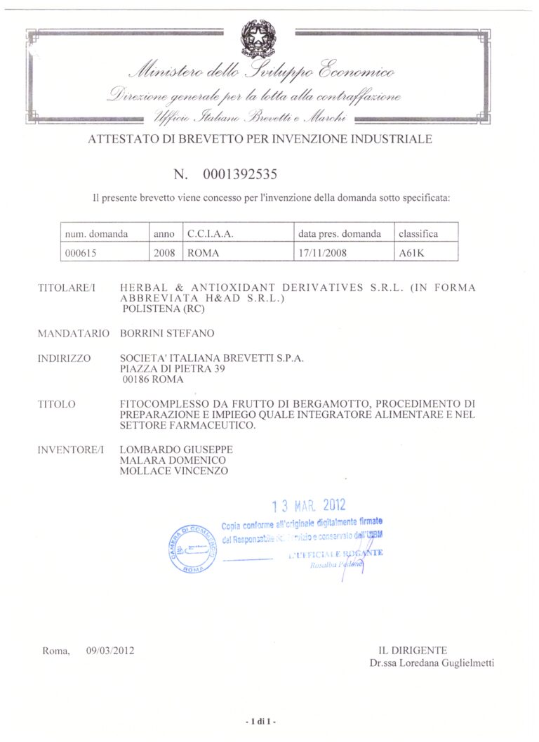 Pat. Italia BPF 768x1056 1