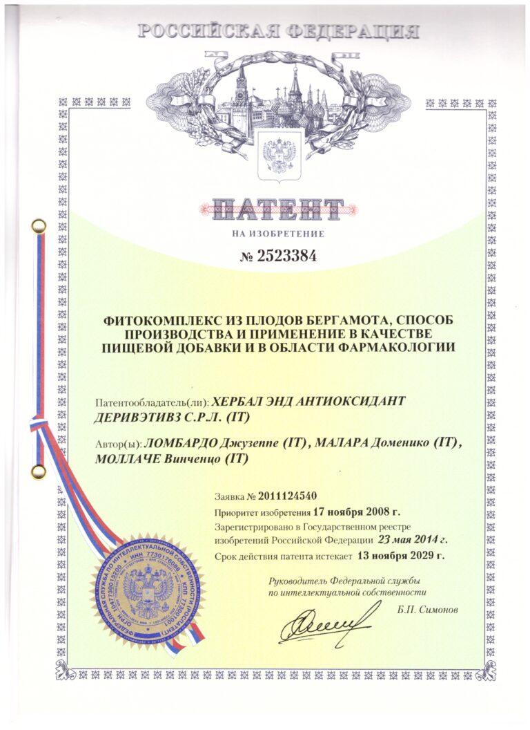 Patent Russia 768x1056 1
