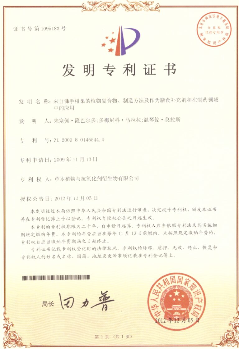 Patente Cina BPF 768x1124 1
