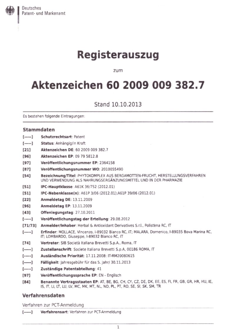 Patente Germania 768x1121 1